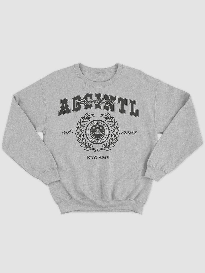 AGC Athletics Sports Crewneck in Grey product image (1)