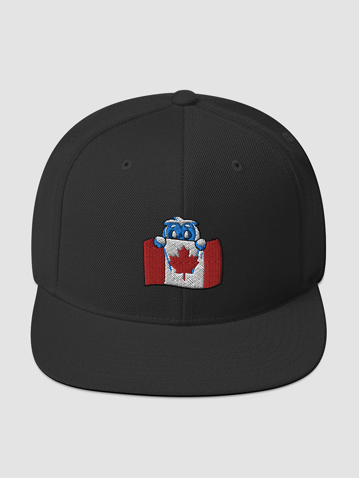[YetiGang] Yupoong Wool Blend Snapback Yupoong 6089M product image (1)