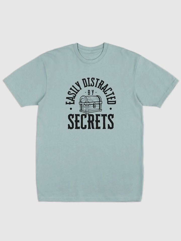 Secrets Heavy Duty Men's Tee product image (3)