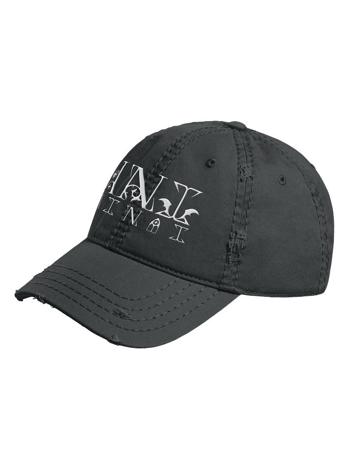 Embroidered Ani Logo Distressed Hat product image (5)