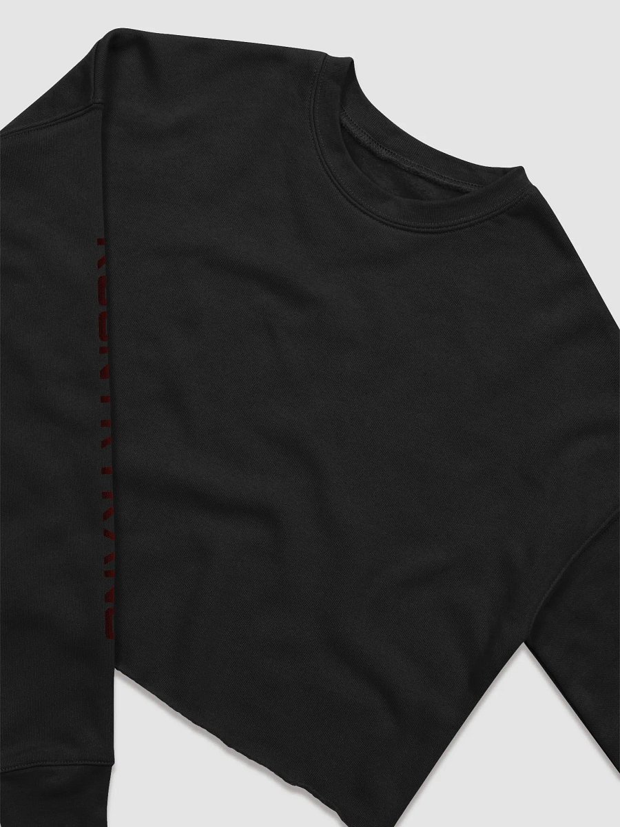 Crop Top Sweater product image (3)