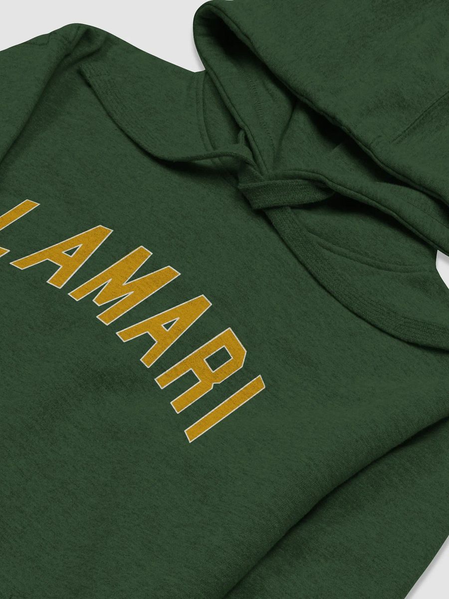 Lamari College Hoodie product image (3)
