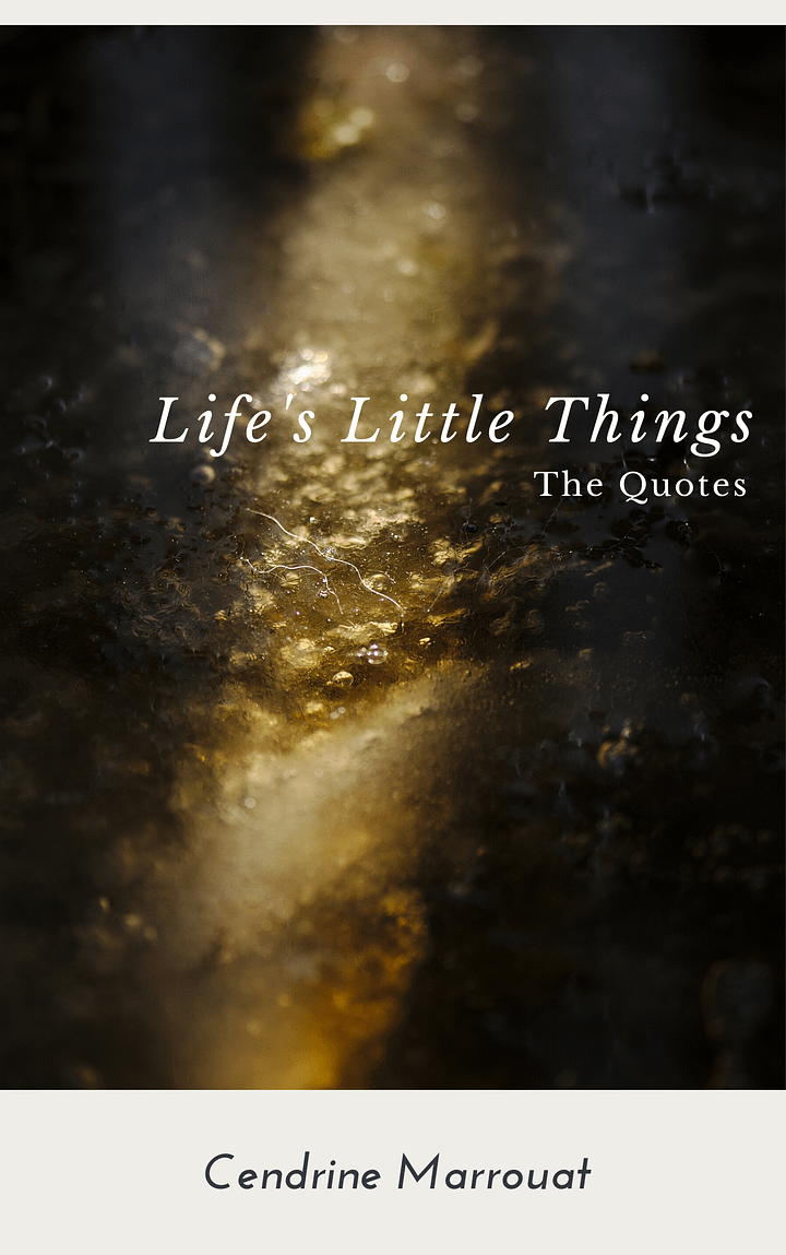 Life's Little Things: The Quotes product image (1)