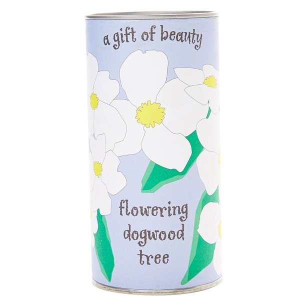 Pacific Dogwood | Seed Grow Kit