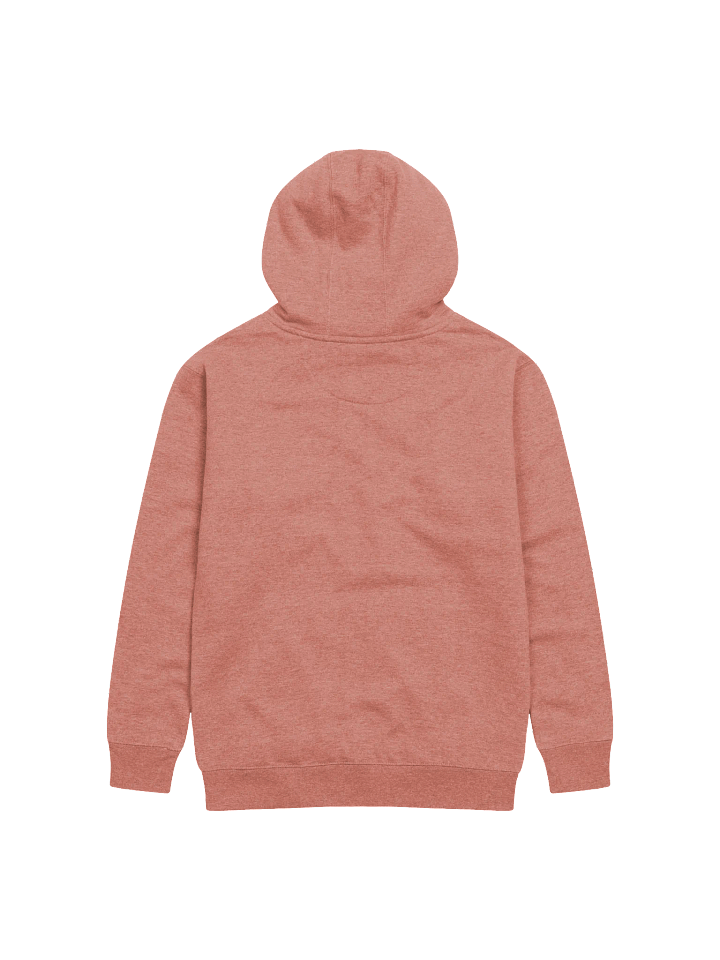 Embroidered SJ Hoodie product image (7)