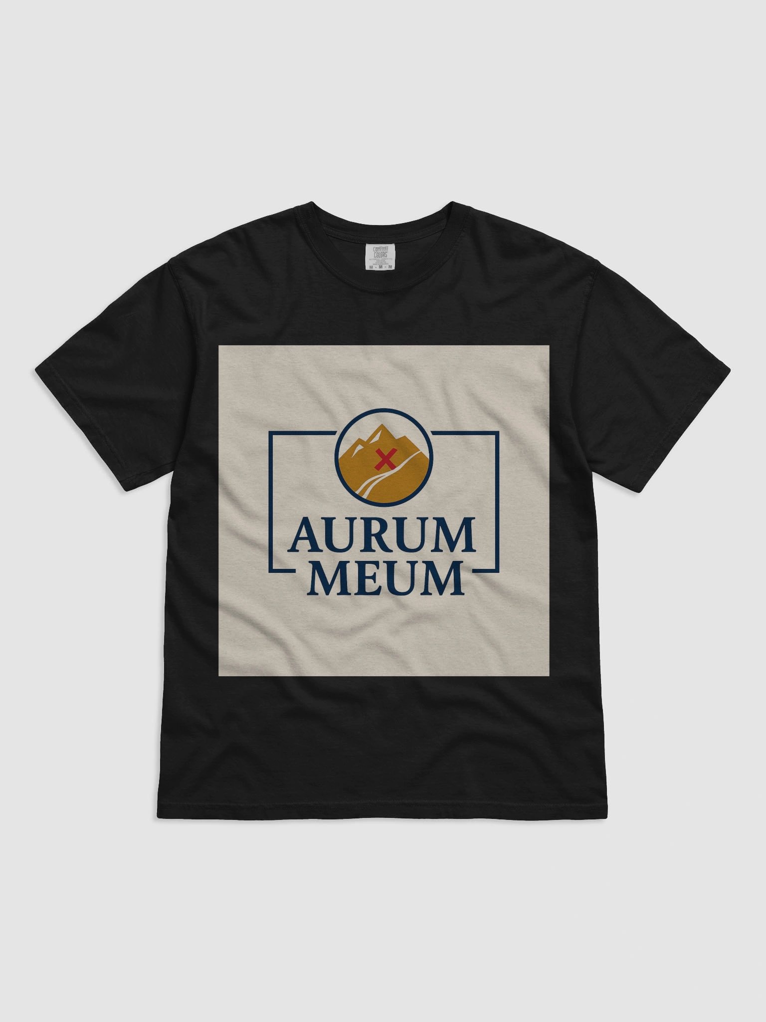 Aurum Meum $GOLDY product image (1)
