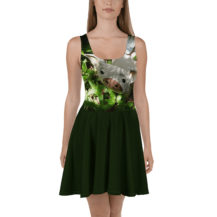 Flying Pig Dress product image (2)