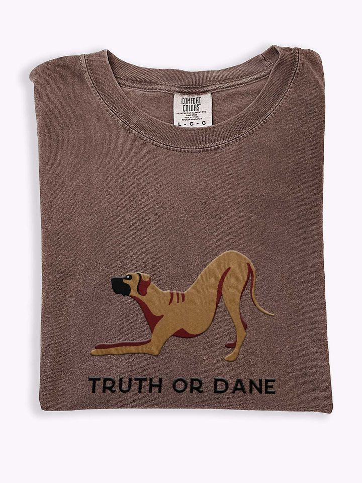 Truth or Dane T-Shirt(Embroidered) of a Great Dane product image (1)
