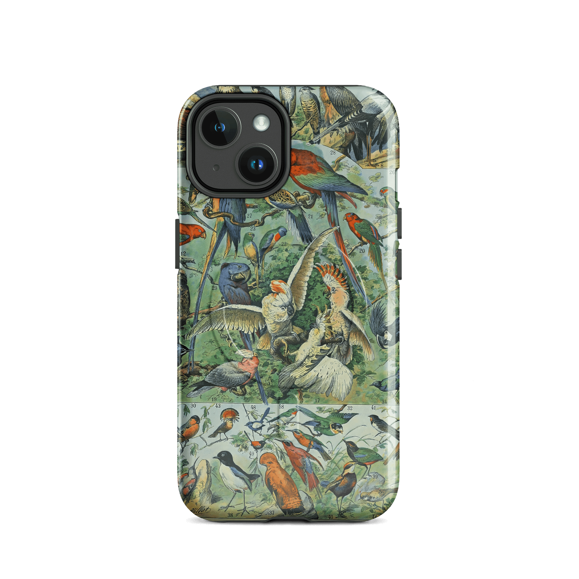 Tropical Birds iPhone® MagSafe® Tough Case product image (33)