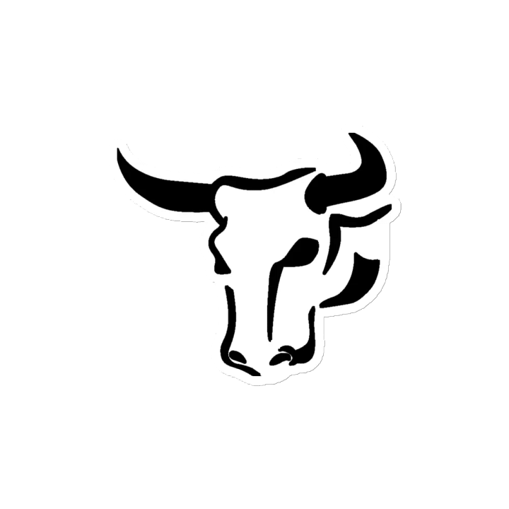 Magnetic Bull product image (2)
