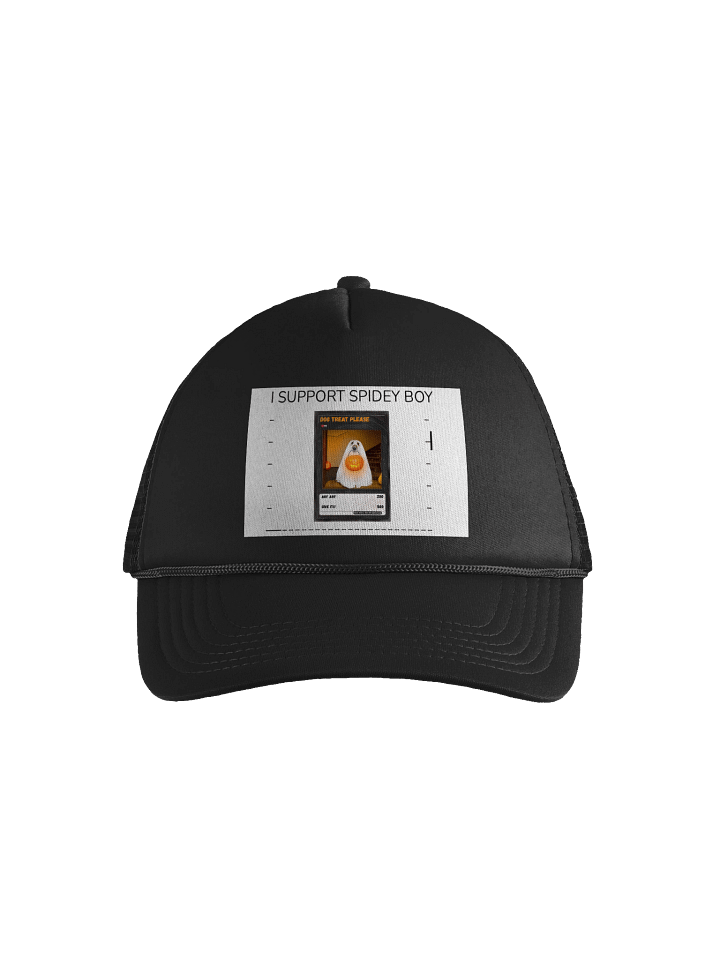 SPIDEY SUPPORT HAT product image (1)