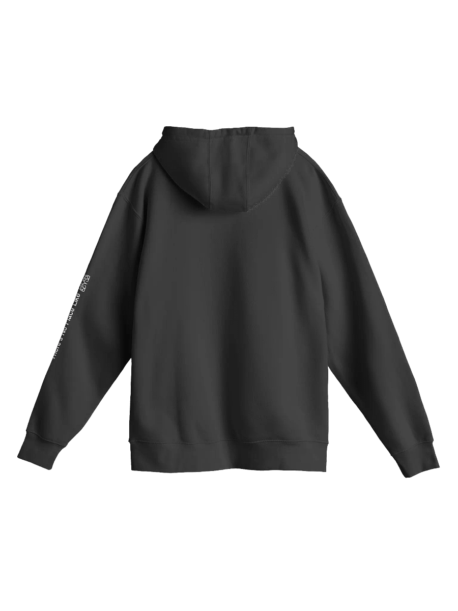 There's No Place Like DOME Sleeve Hoodie product image (3)