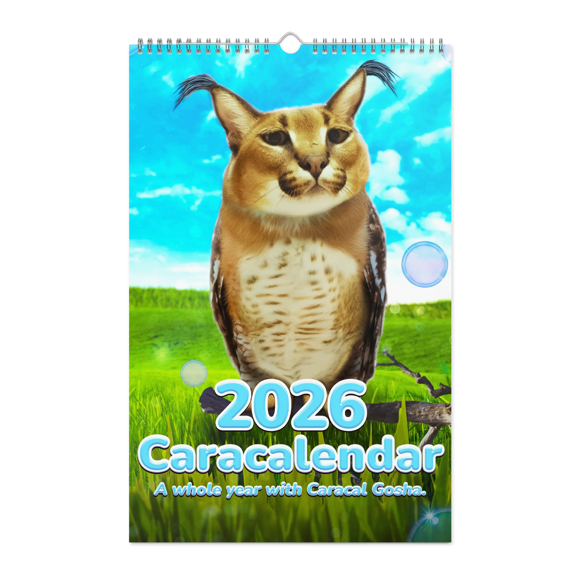 BIG CARACALENDAR 2026 (Limited Edition) product image (1)