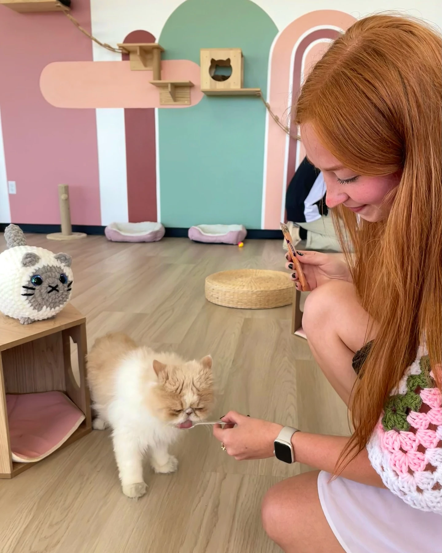 Coffee, cats & crochet☕️🤍 My three favorite things!! 🥰

#catcafe #metrodetroit #michigancafe #malucatcafe #crochetloafcat #de...