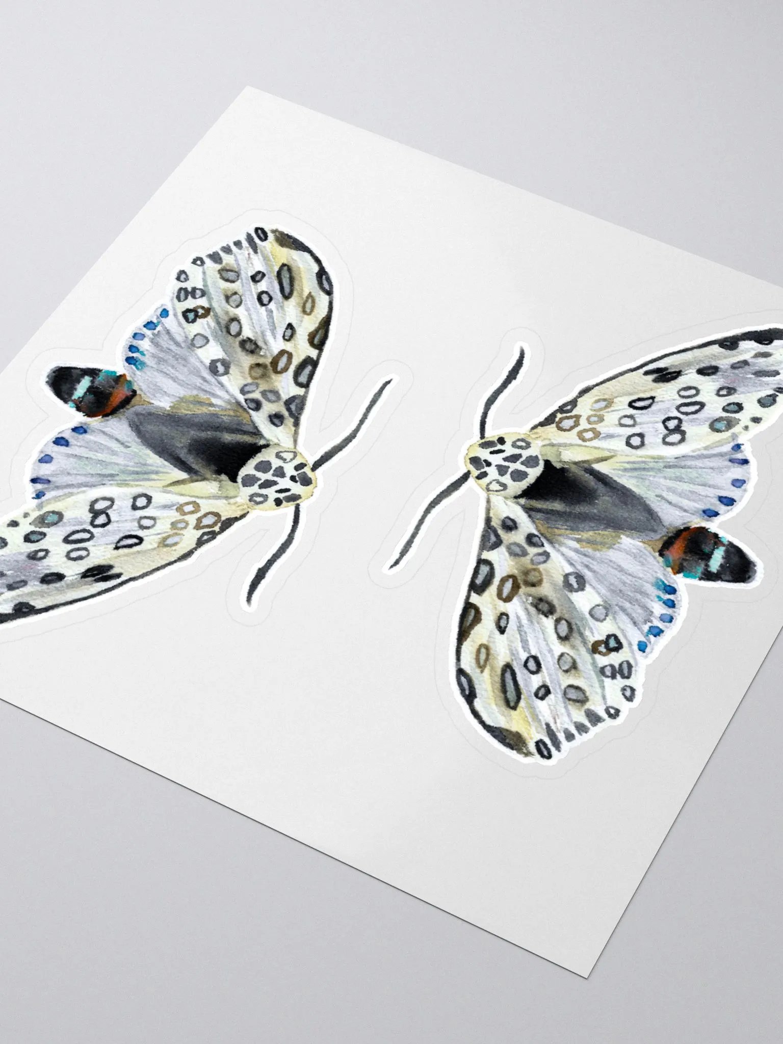 Giant Leopard Moth Sticker (x2) product image (3)