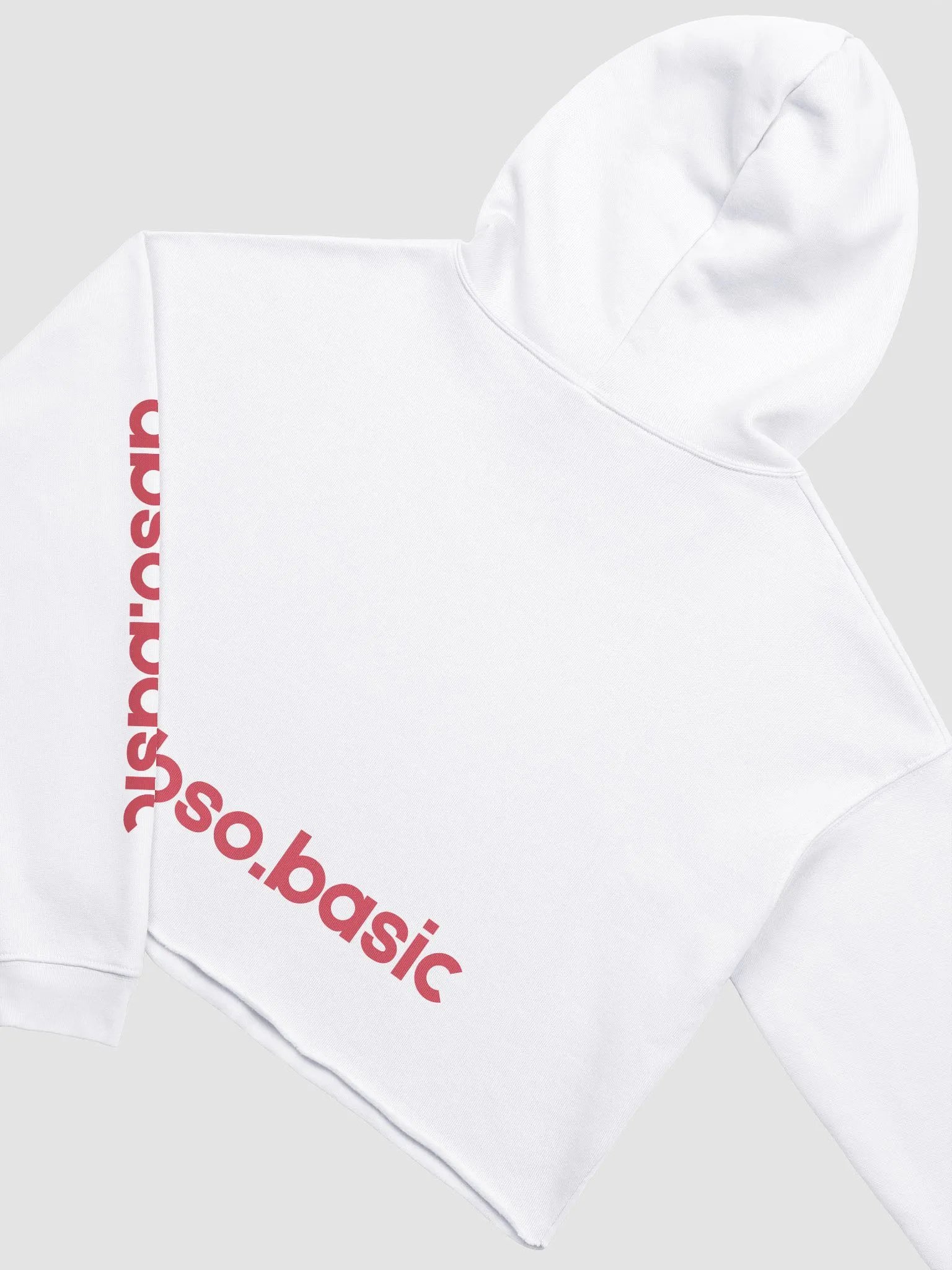 Lazy "Burro" Graffiti Crop Hoodie product image (19)