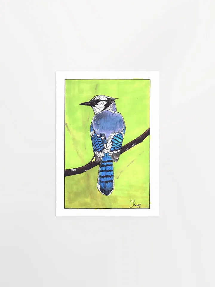 Blue Jay Print product image (1)