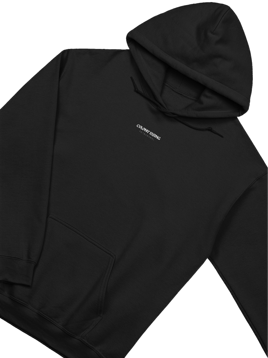 Colony Rising - Nest of the Nameless Hoodie product image (23)