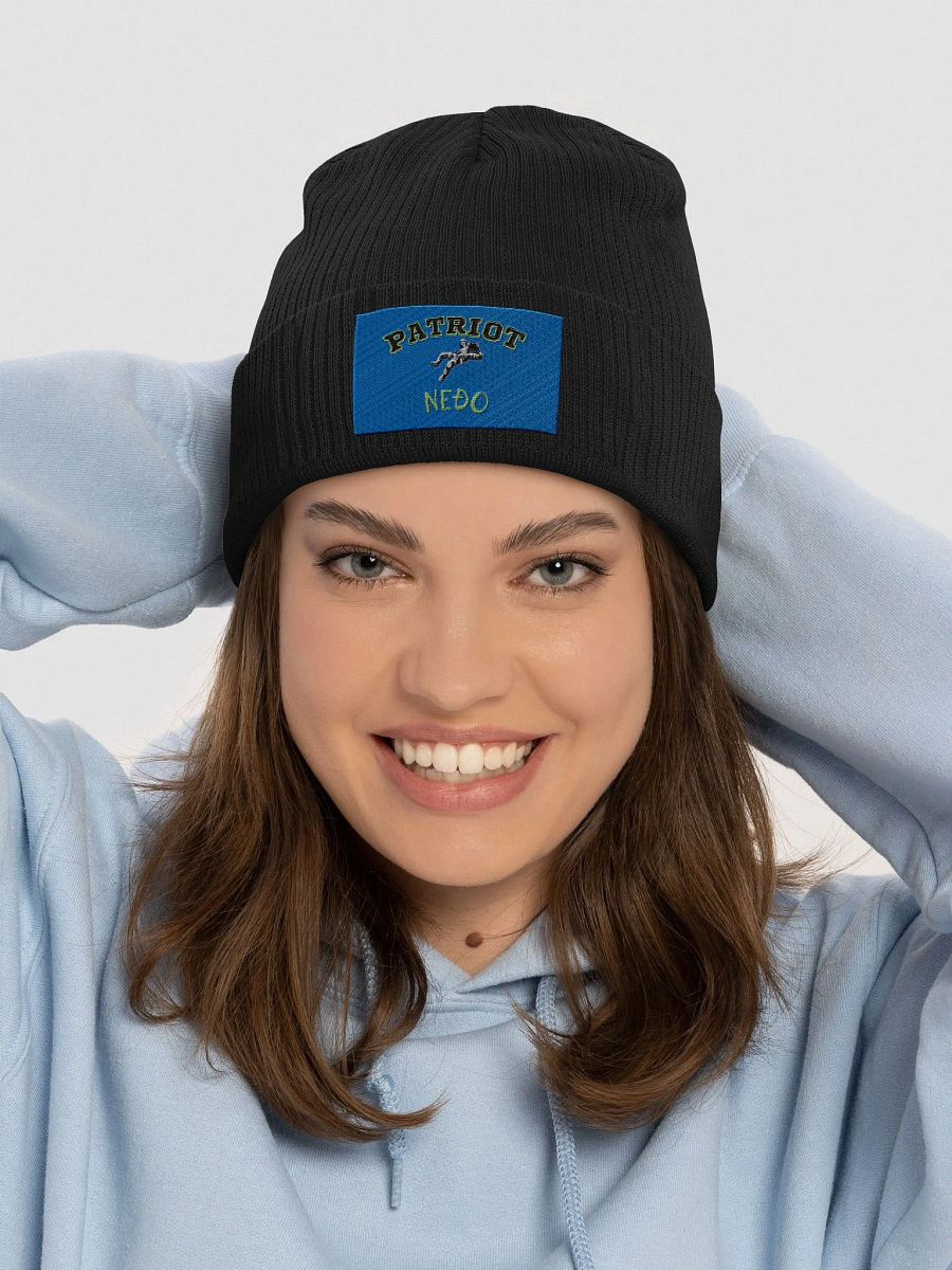 Cosmic Patriot Organic Beanie product image (41)