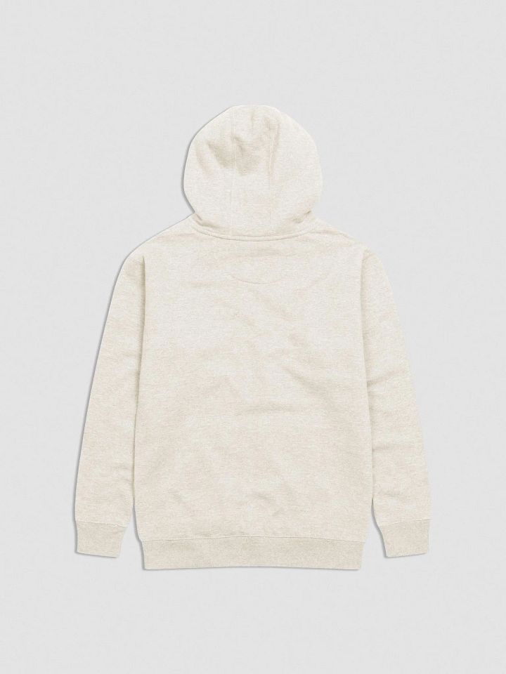 TSGL Embroidered Hoodie product image (2)