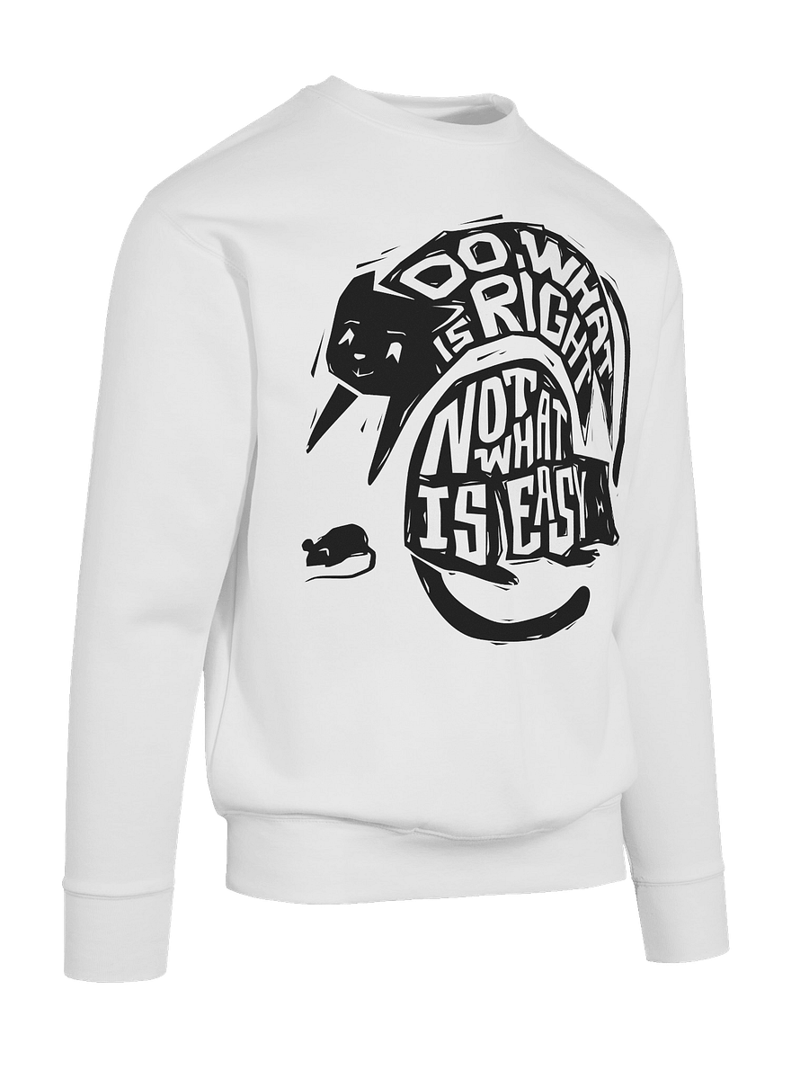 Do what is right product image (10)