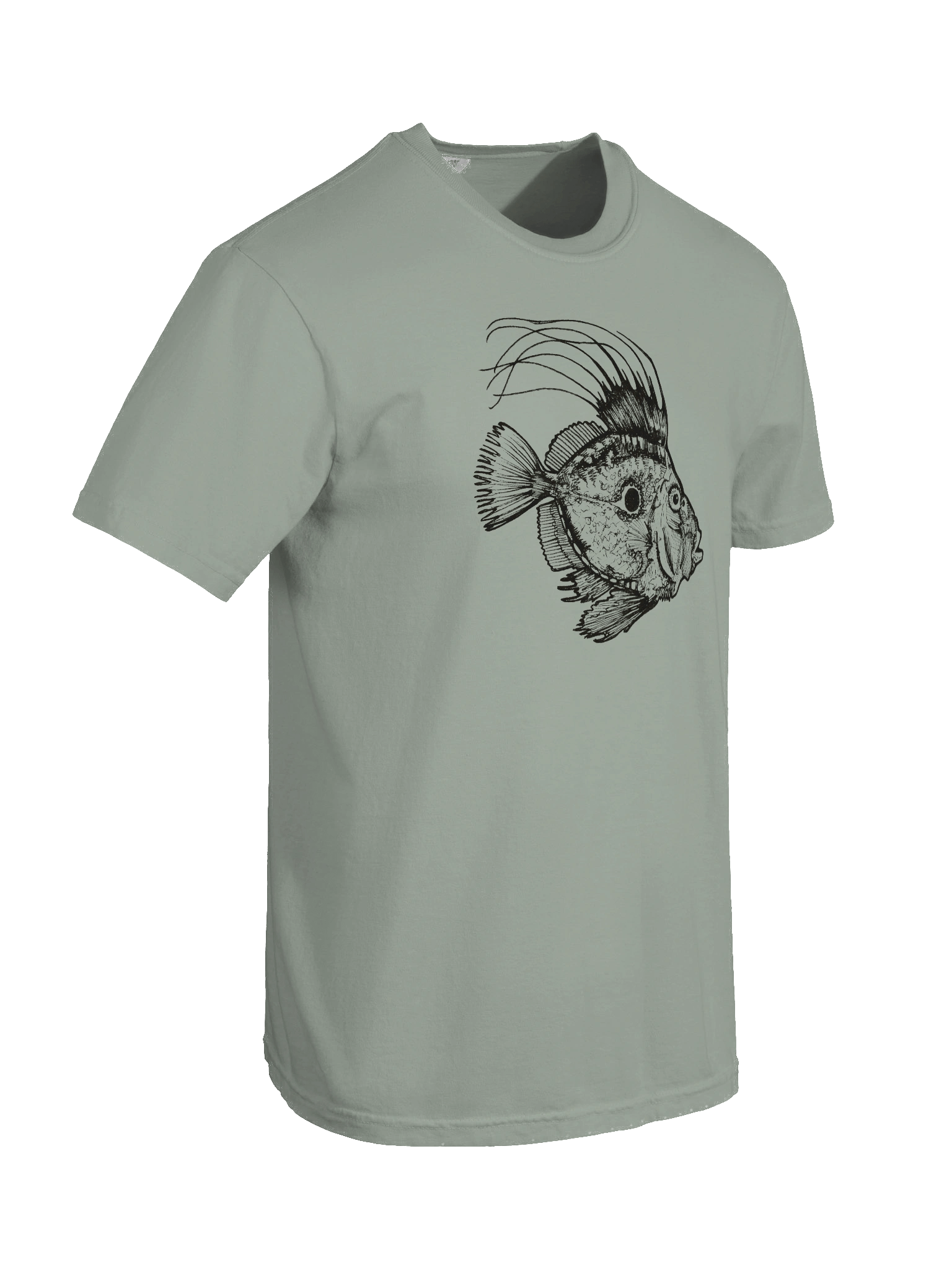 John Dory - Print product image (18)