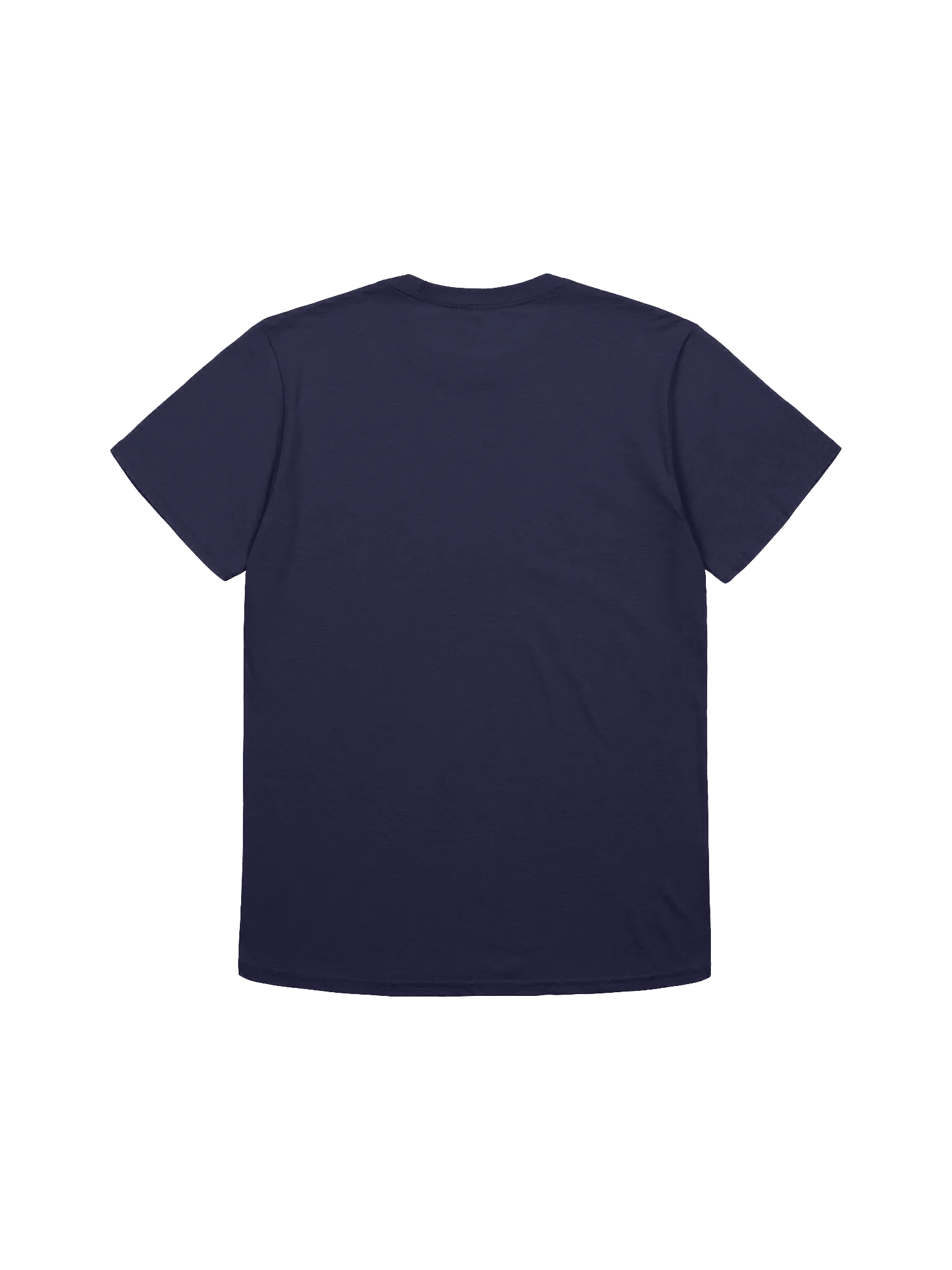 "Friendship" Caracal Gosha and Capybara T-Shirt product image (2)