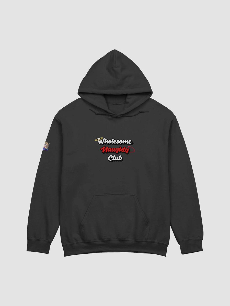 Wholesome Naughty Club Hoodie product image (2)