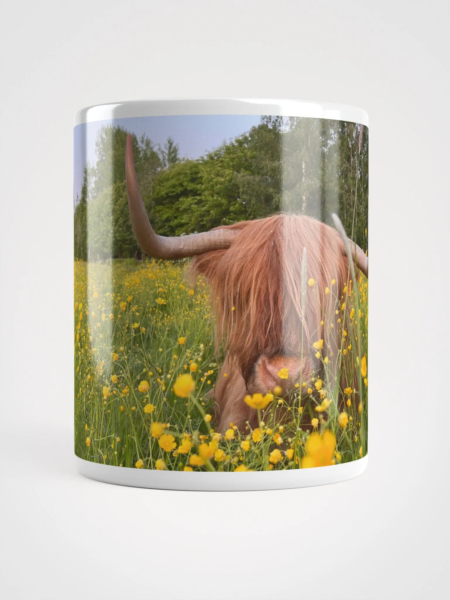 Highland Cattle Cow Flower Mug product image (15)