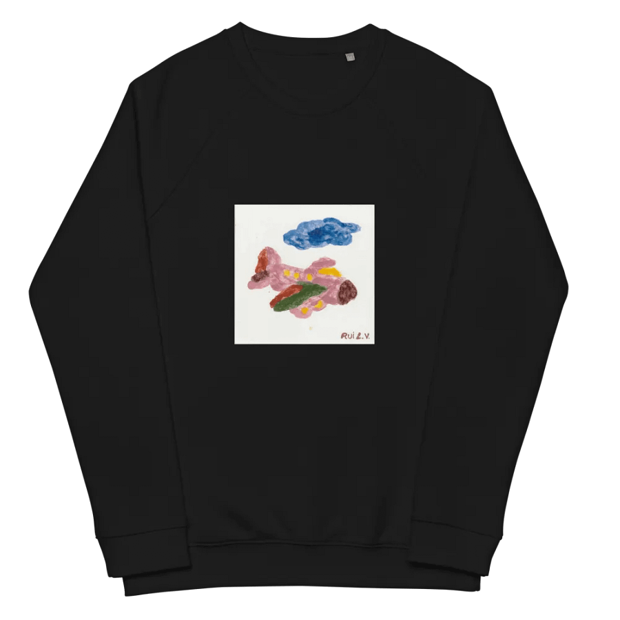 Kid Airplane (SOL'S Unisex Organic Raglan Sweatshirt) product image (2)