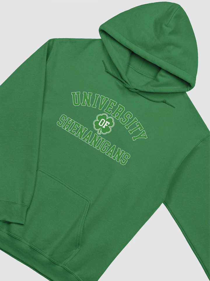 University of Shenanigans ☘️ Gildan Classic Hoodie with Vintage-Feel Print product image (1)