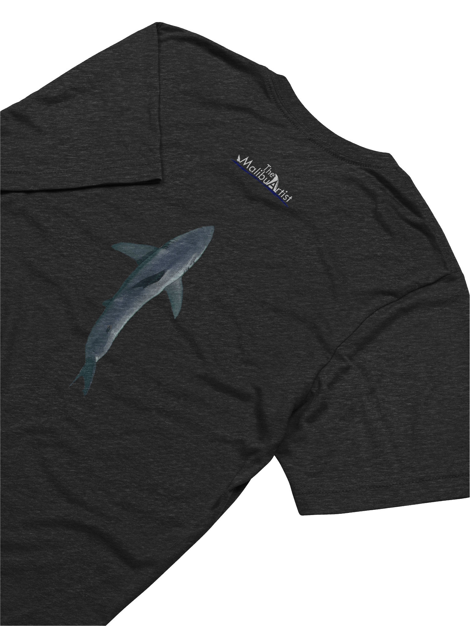 Carcharodon carcharias. product image (7)