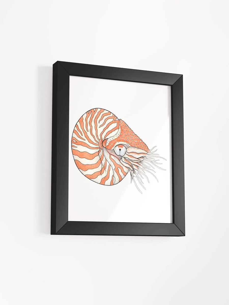 Ancient Mollusk framed print product image (2)