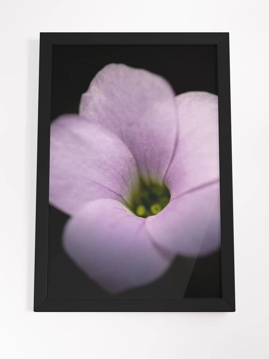 Violet in Black product image (4)