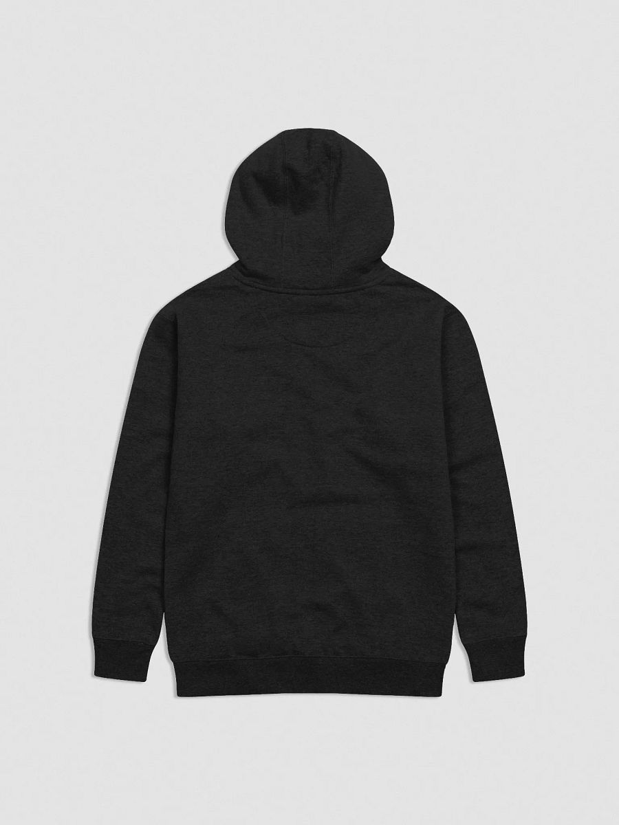 Photographer Collection: Understated Hoodie product image (2)