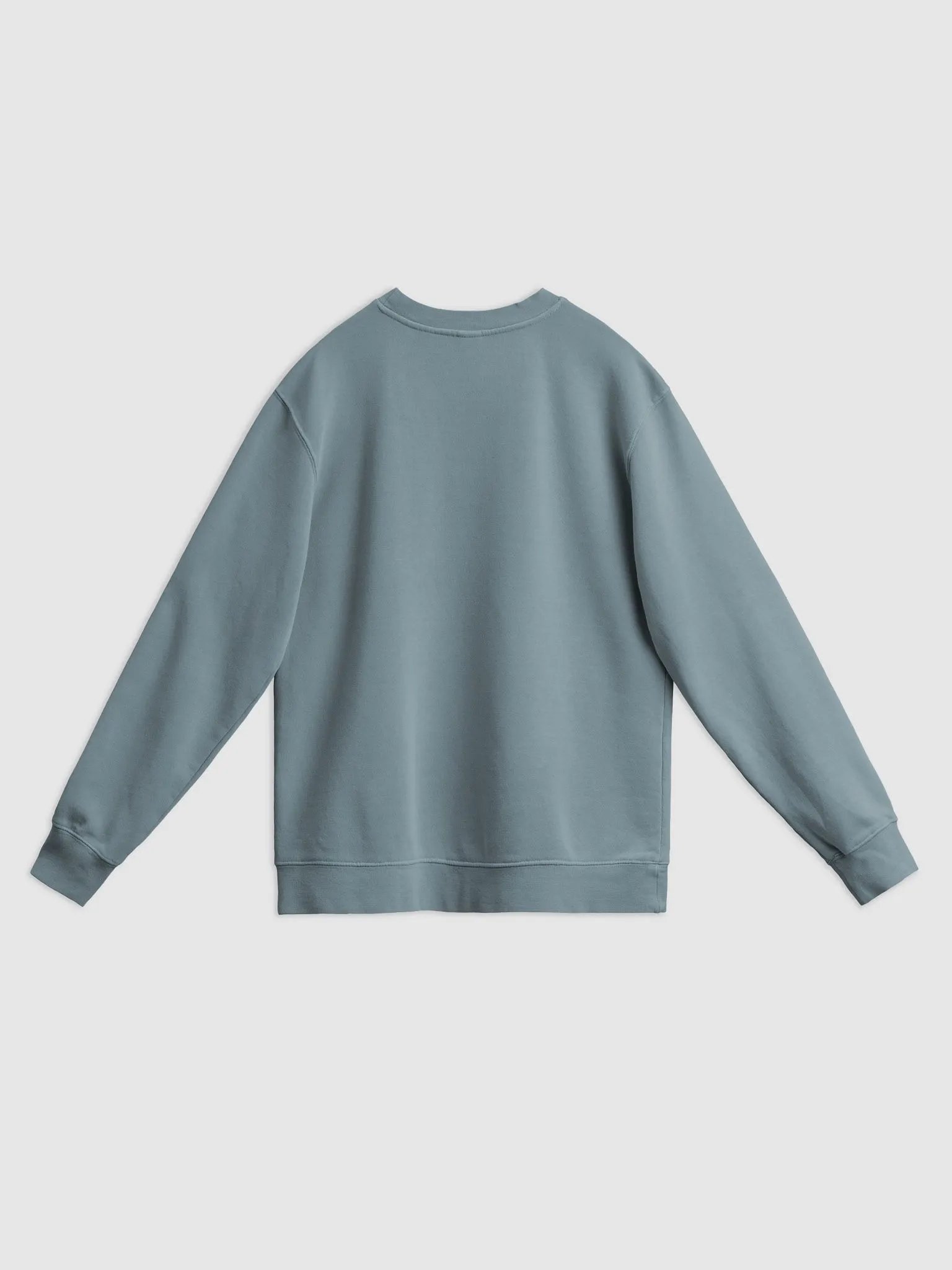Bubbly and a B*tch (forest shadow design) printed pigment crewneck product image (14)