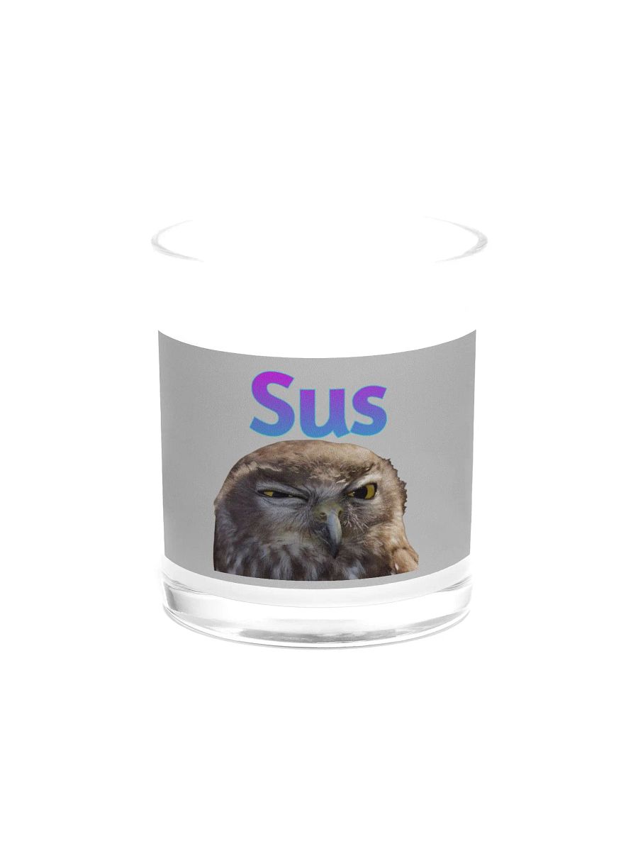 Sus Owl Candle product image (1)