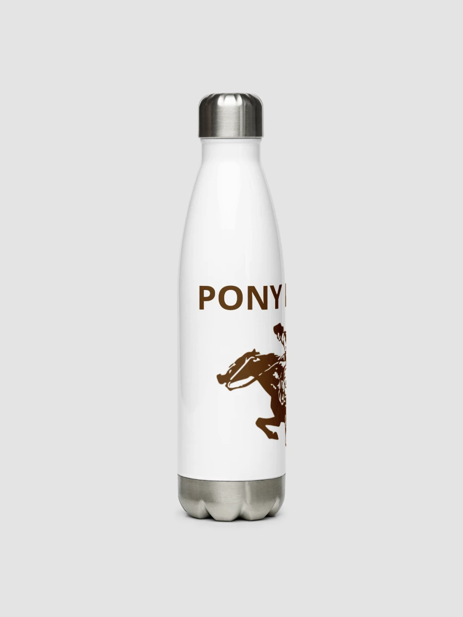 Stainless Steel Water Bottle Generic 1020 product image (3)