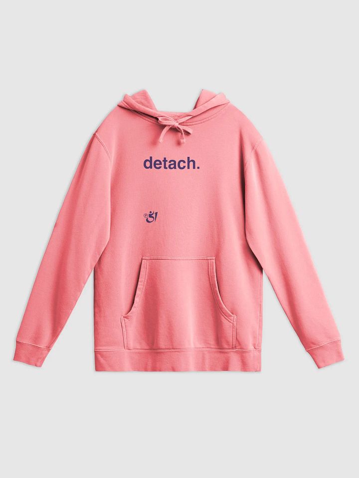 detach. hoodie product image (1)