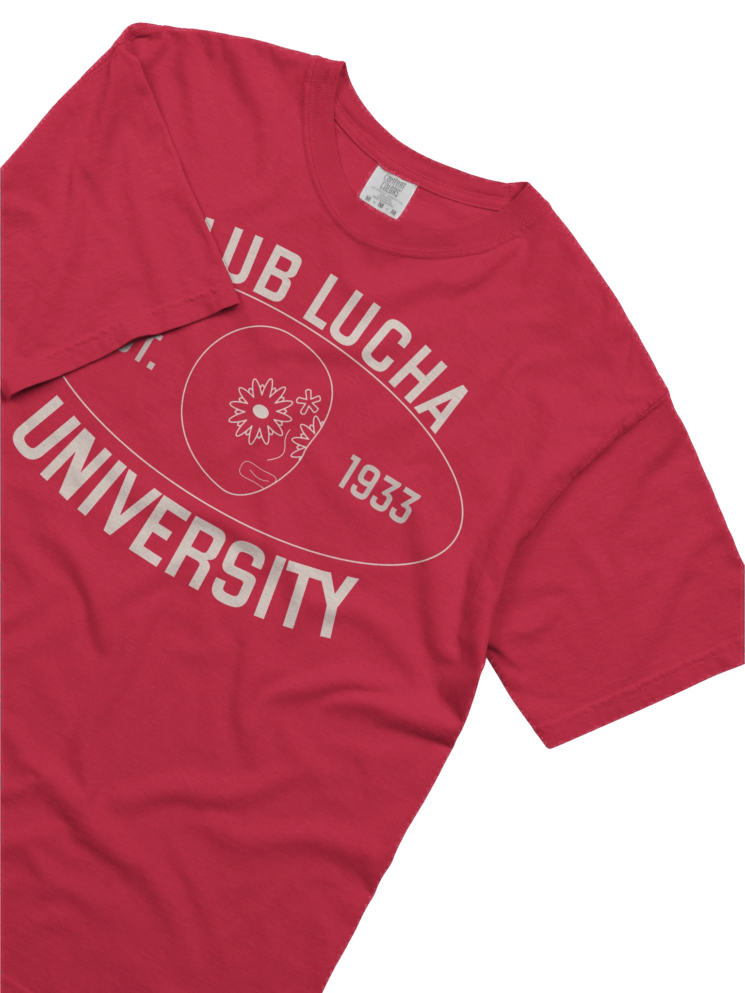 Club Lucha University Tee product image (25)