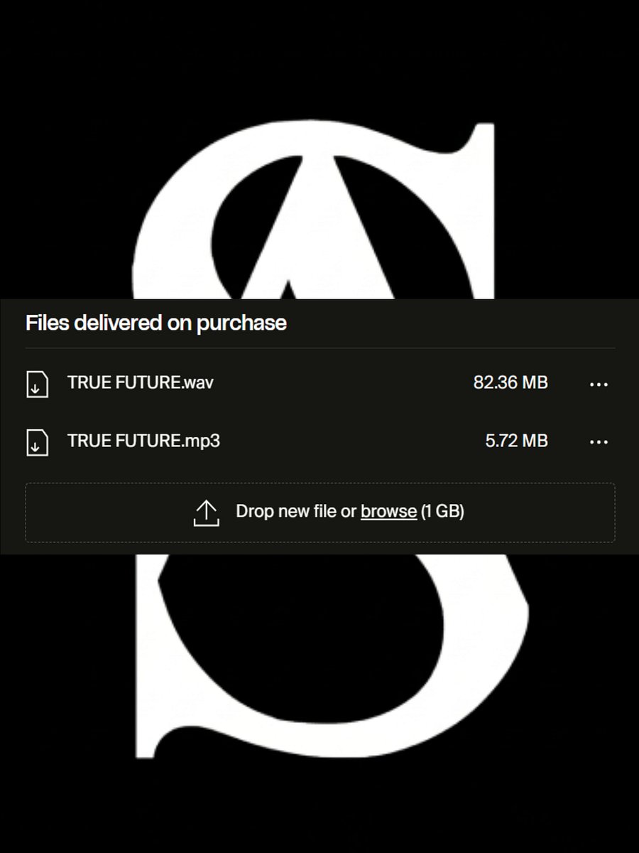 TRUE FUTURE (p. t2yung) product image (2)