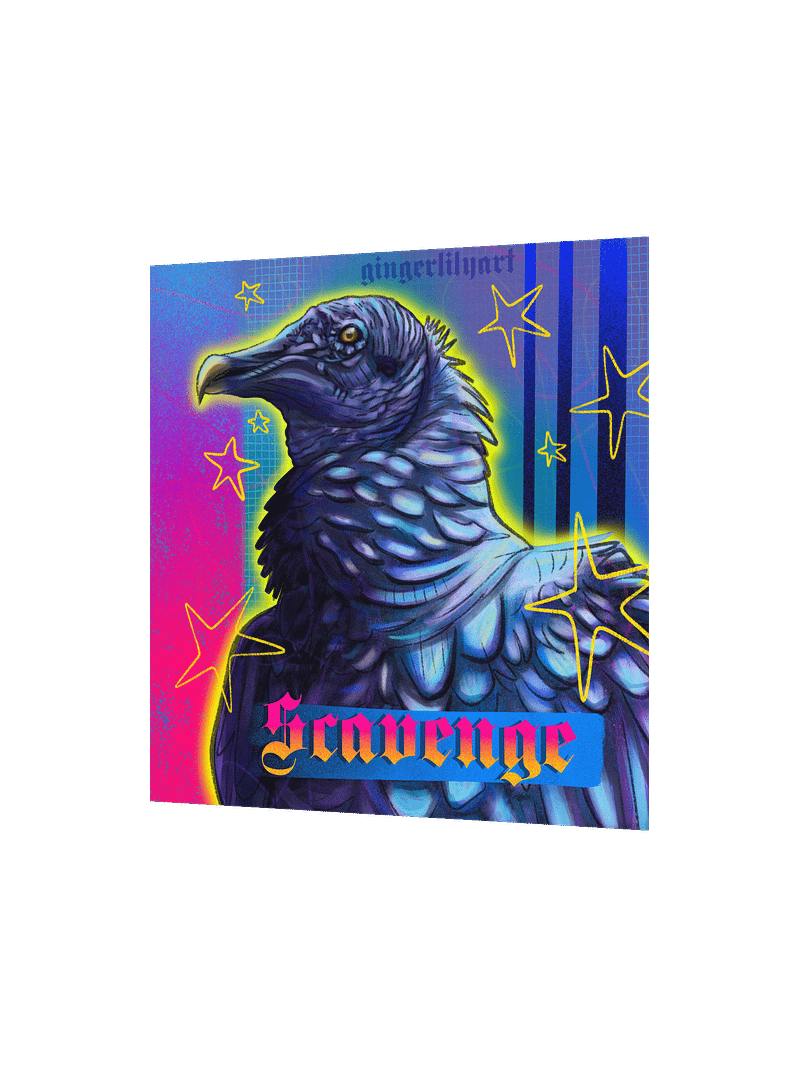 black vulture