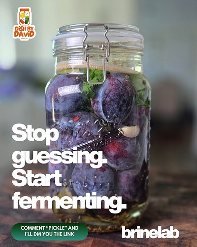 Fermented plums are about to become your new obsession ✨

pure probiotic gold.

👉 Comment 'Pickle' and I'll DM you my guide.
...
