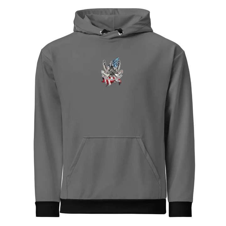 Gray Chain Athena Tug & CE Flage Hoodie product image (2)
