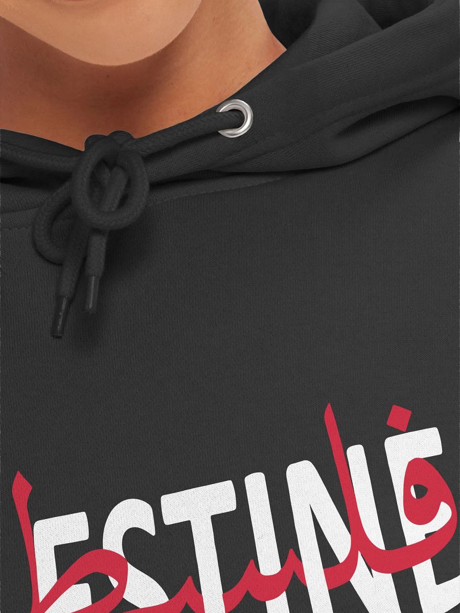 Palestine Hoodie product image (5)
