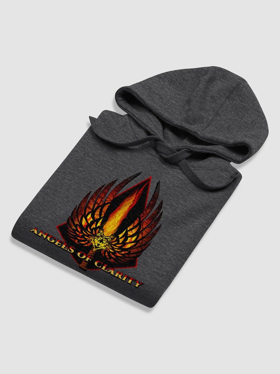 AOC LOGO HOODIE product image (25)