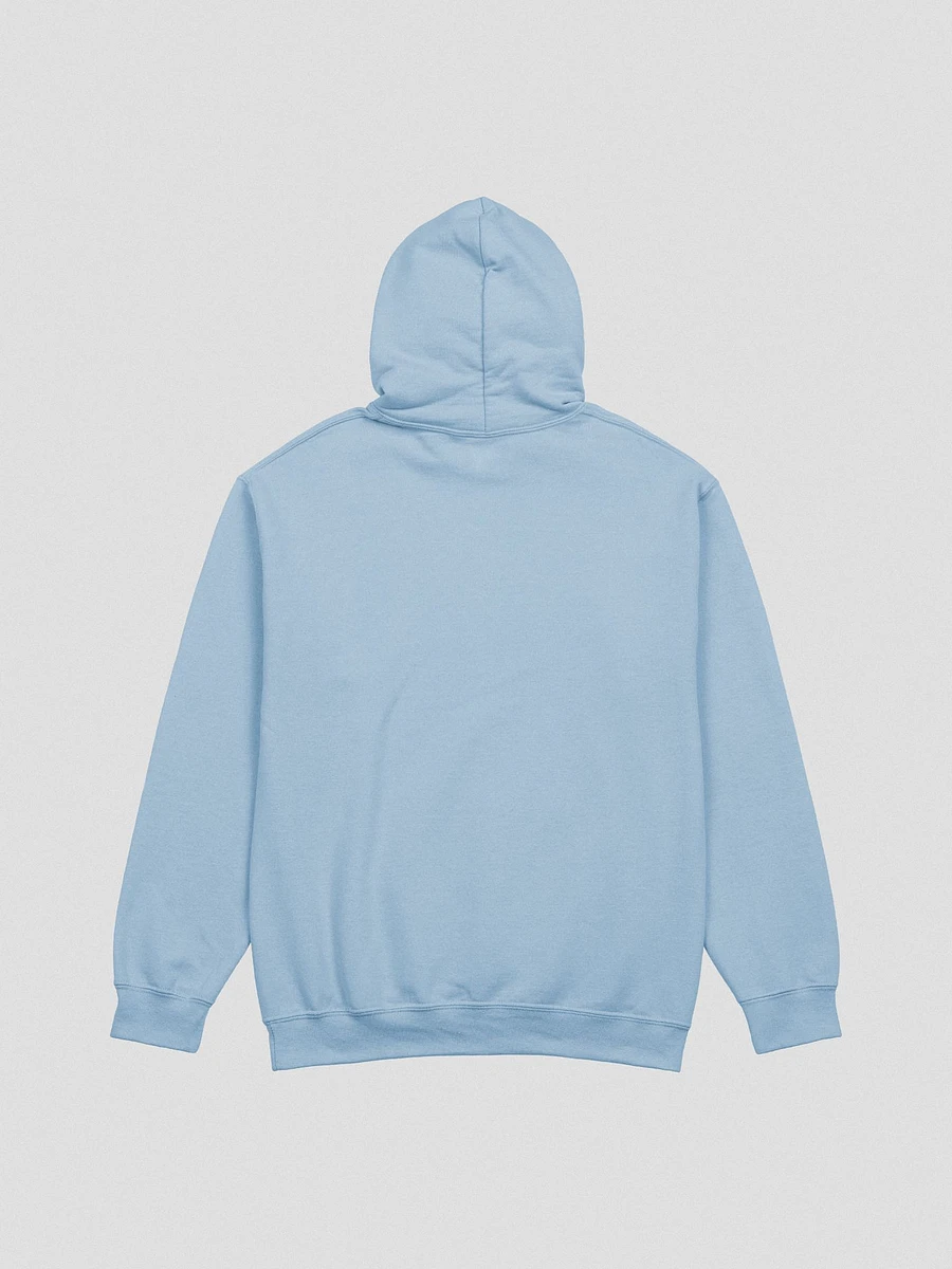 !bsr 25f Hoodie product image (7)