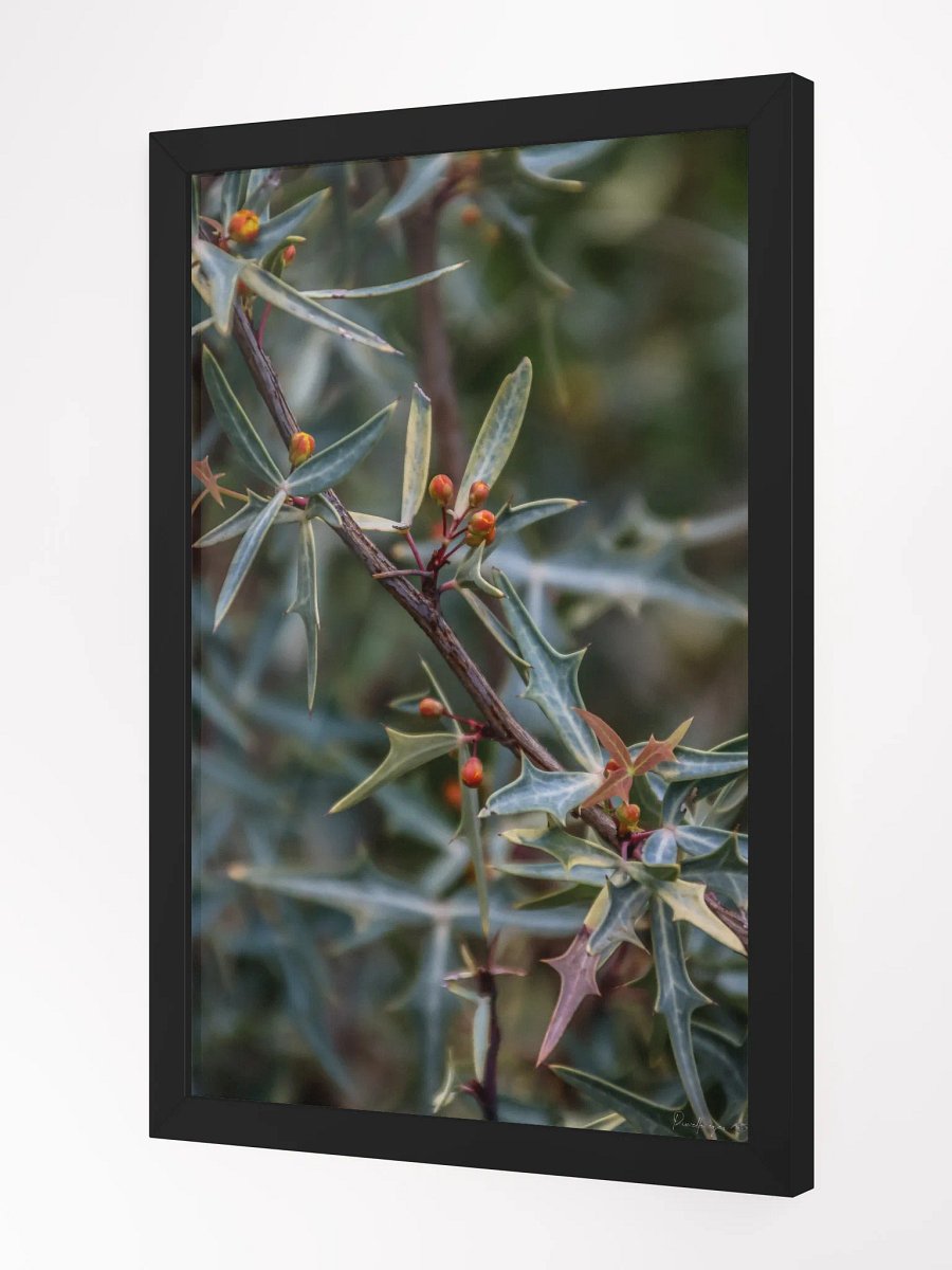🌿Print Fine Art - Spikes and Secrets 🔒✨ product image (4)