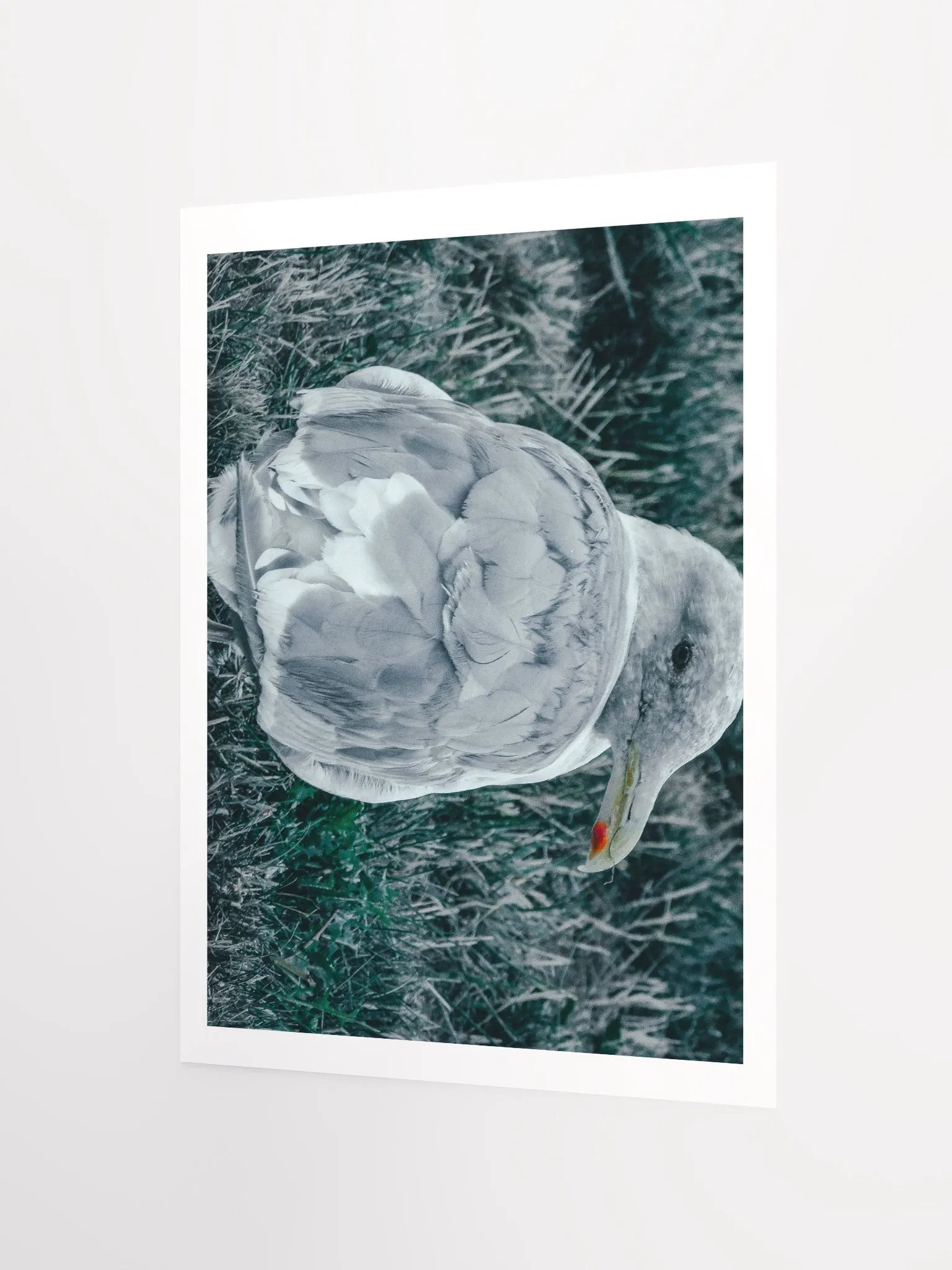 Seagull (my best buddy) product image (2)