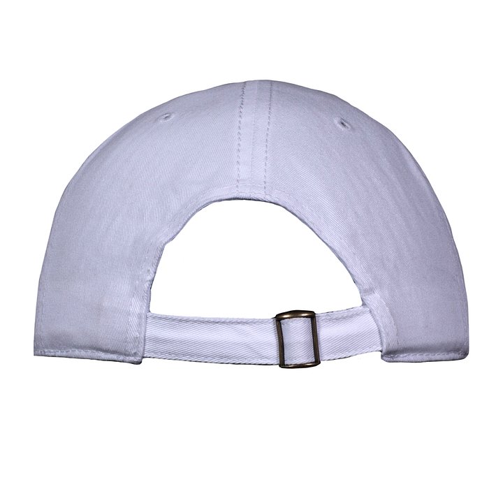 The Enron Hat (White) product image (2)